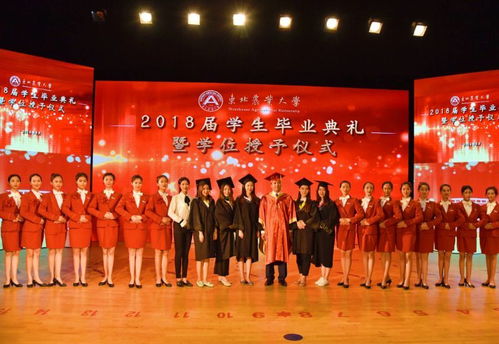 畢業禮記 2014級禮儀服務隊隊員的青春紀念冊